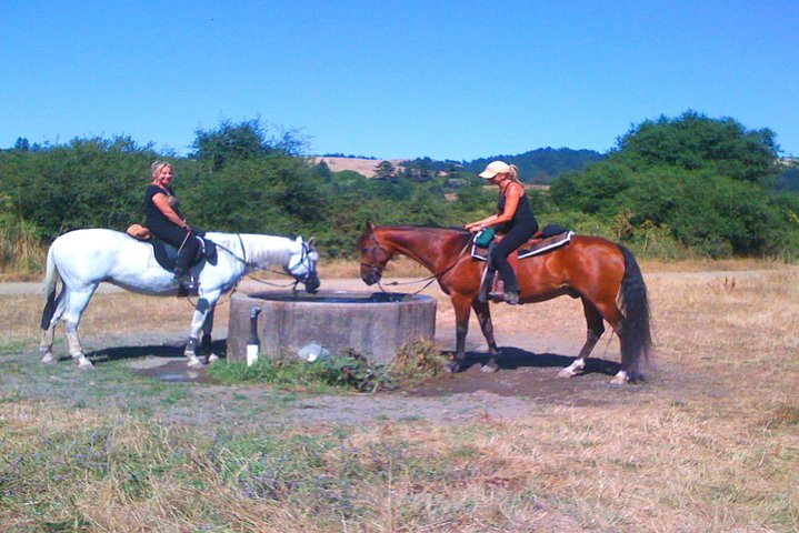 Private Horseback Riding and Muir Woods Adventure from San Francisco - Photo 1 of 24